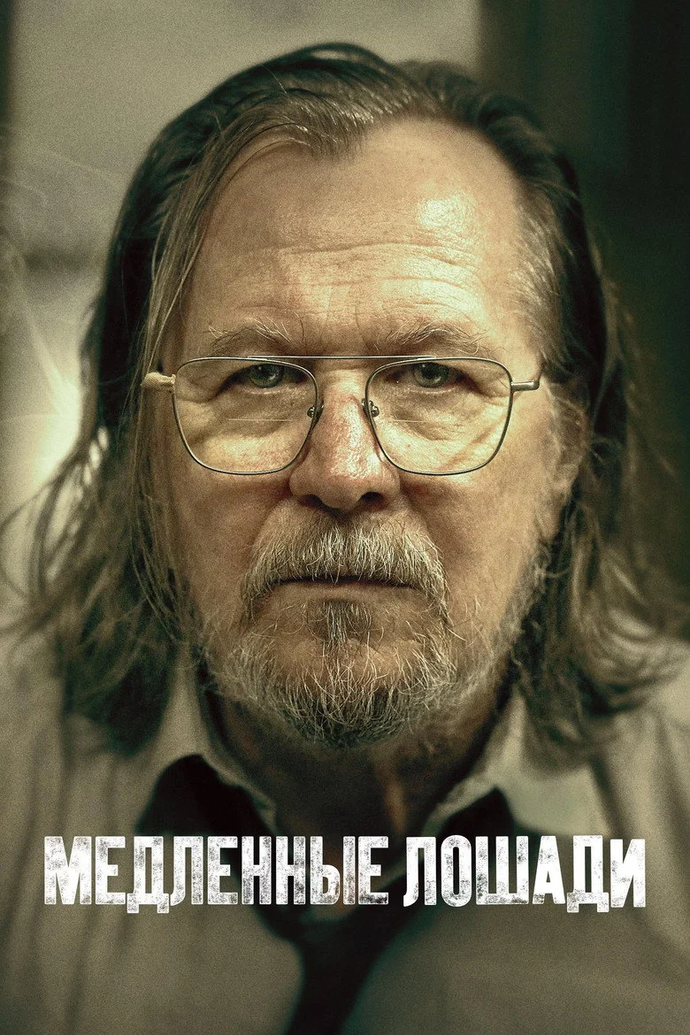 5 сезон